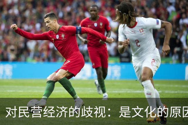 对民营经济的歧视：是文化的原因，还是意识形态的推动