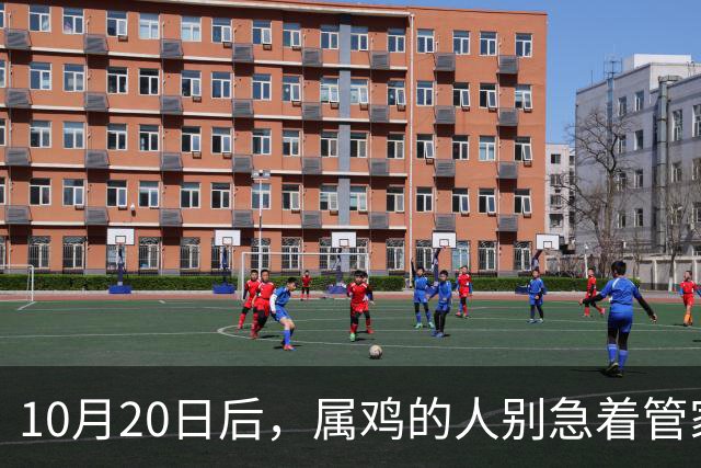 10月20日后，属鸡的人别急着管家里的事